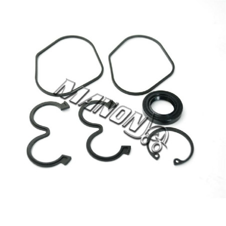 oil pump kit R-403-24881 R-403-24881