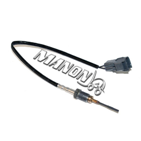 SENSOR (THERMO, 1) 4054810 4054810