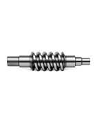WORM SCREW