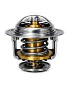 THERMOSTAT ASSY