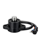 MAGNETIC SWITCH