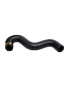WATER HOSE