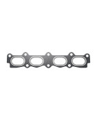MANIFOLD GASKET