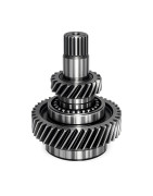 GEAR ASSY