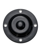 DIAPHRAGM