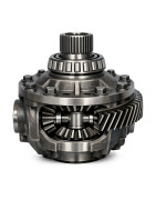 DIFFERENTIAL