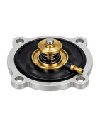 REGULATOR REPAIR KIT (LPG)