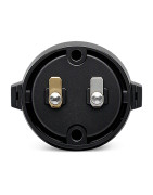 BUZZER, BACK